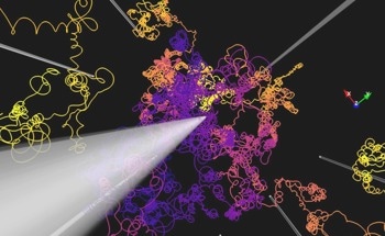 A Unique Computer Program with the Ability to Simulate Cosmic Rays