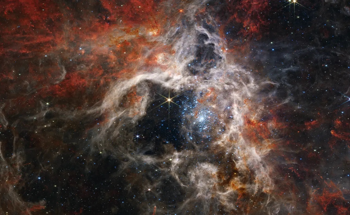 The Biography of Stars is Shaped by Their Early Stages