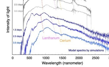 Formation of Rare Earth Elements in Neutron Star Unions