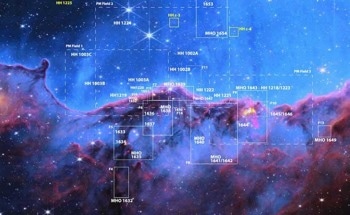 Detailed Analysis of the Activity in the Massive Star-Forming Region