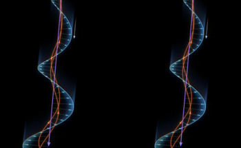 Observing Wave-Particle Interaction Between Electrons and Whistler-Mode Waves