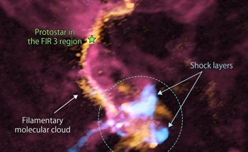 Baby Star Outflows Influence the Formation of Nearby Stars