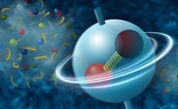 Local Fluctuations Influencing the Spin Orientation of Particles
