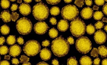Relativistic Heavy Ion Collider Gets Ready for Full-Energy Heavy-Ion Collisions for the First Time
