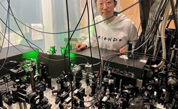 How all Interacting Quantum Systems Evolve After a Sudden Energy Influx
