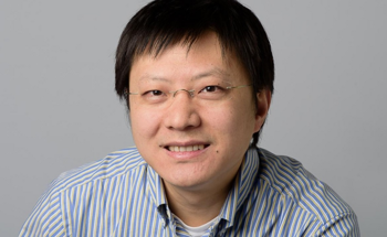 Analyzing the Ising Superconducting State