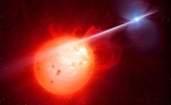 Gaining Better Insights into Stellar Evolution Using a White Dwarf Pulsar
