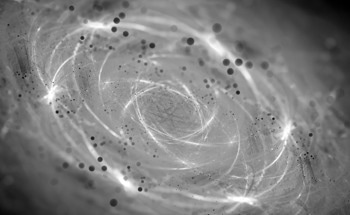 Gravitational Influence on Quantum Spins