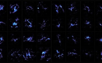 Understanding the Formation of High-Mass Stars
