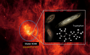Discovering the Existence of the Amino Acid Tryptophan in the Interstellar Material