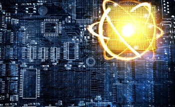 Understanding Generic Features of Quantum Algorithms