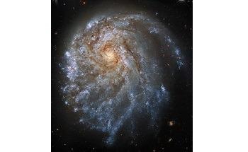 A Closer Look at NGC 2276 Reveals it is a Strangely Lopsided Galaxy